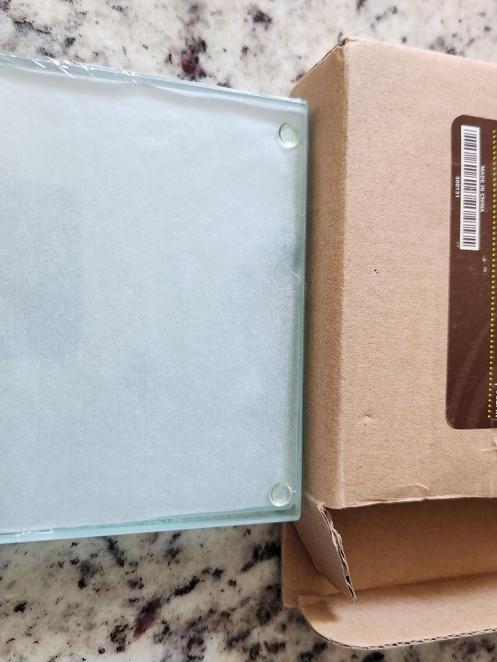 Clear Glass Coasters with Rubber Feet - Frosted Finish NWT